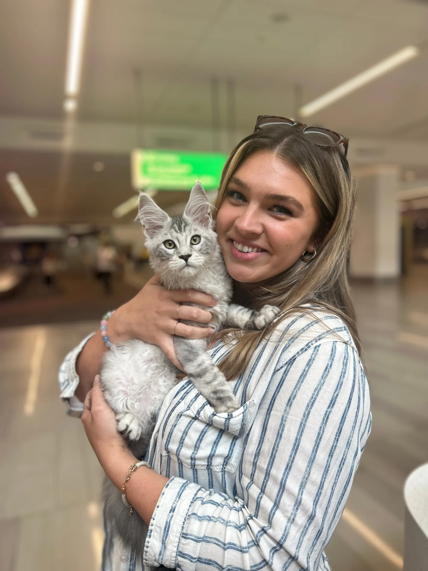 Young woman holding Maine Coon kitten at airport — Chatlerie graduate homecoming